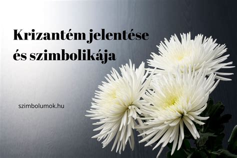 Pikírt jelentése